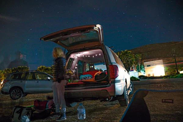 Proof Frontier Project: Jo Savage
