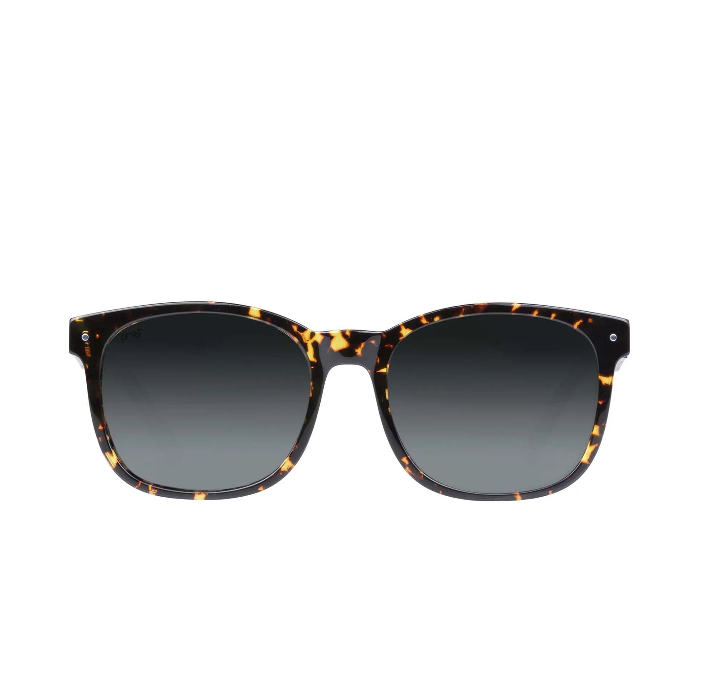 Scout Acetate